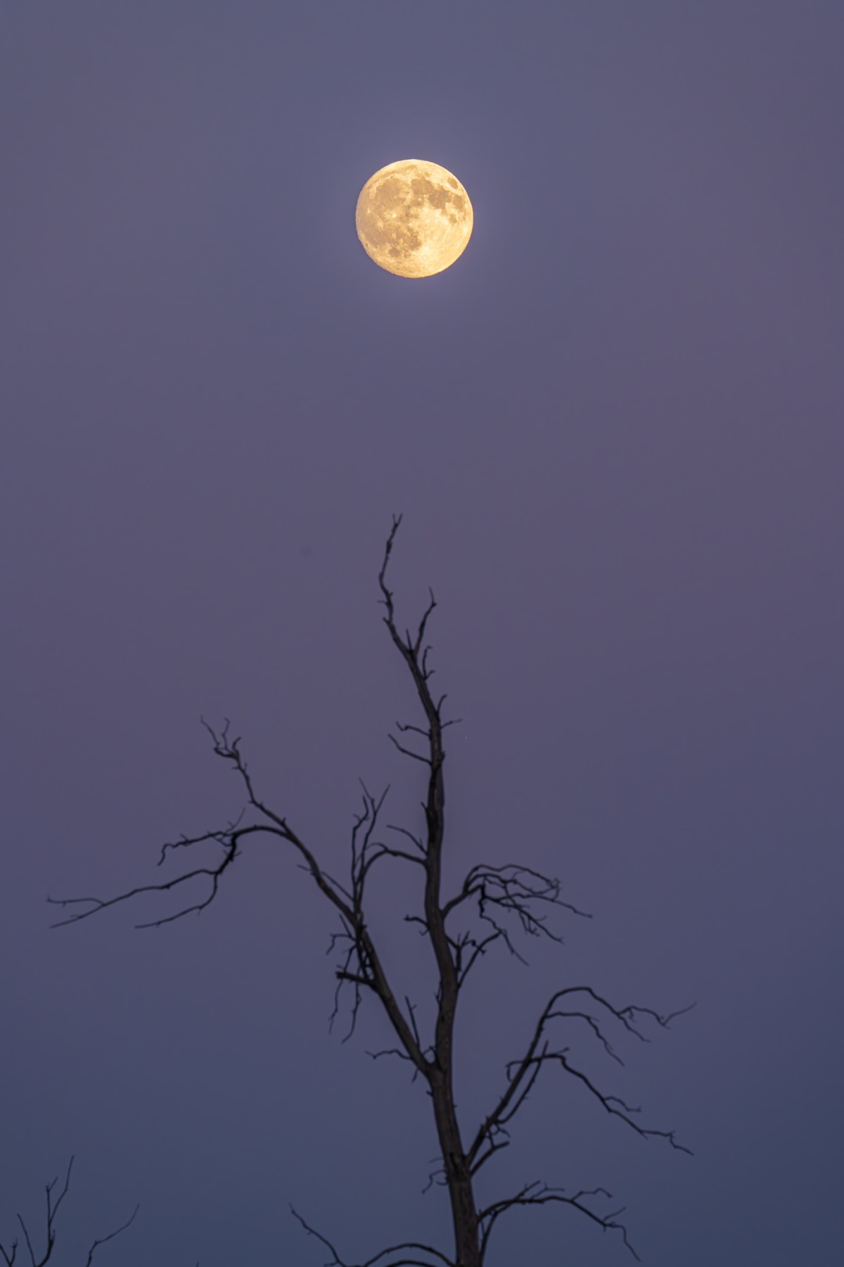 加拿大 第 9 张照片