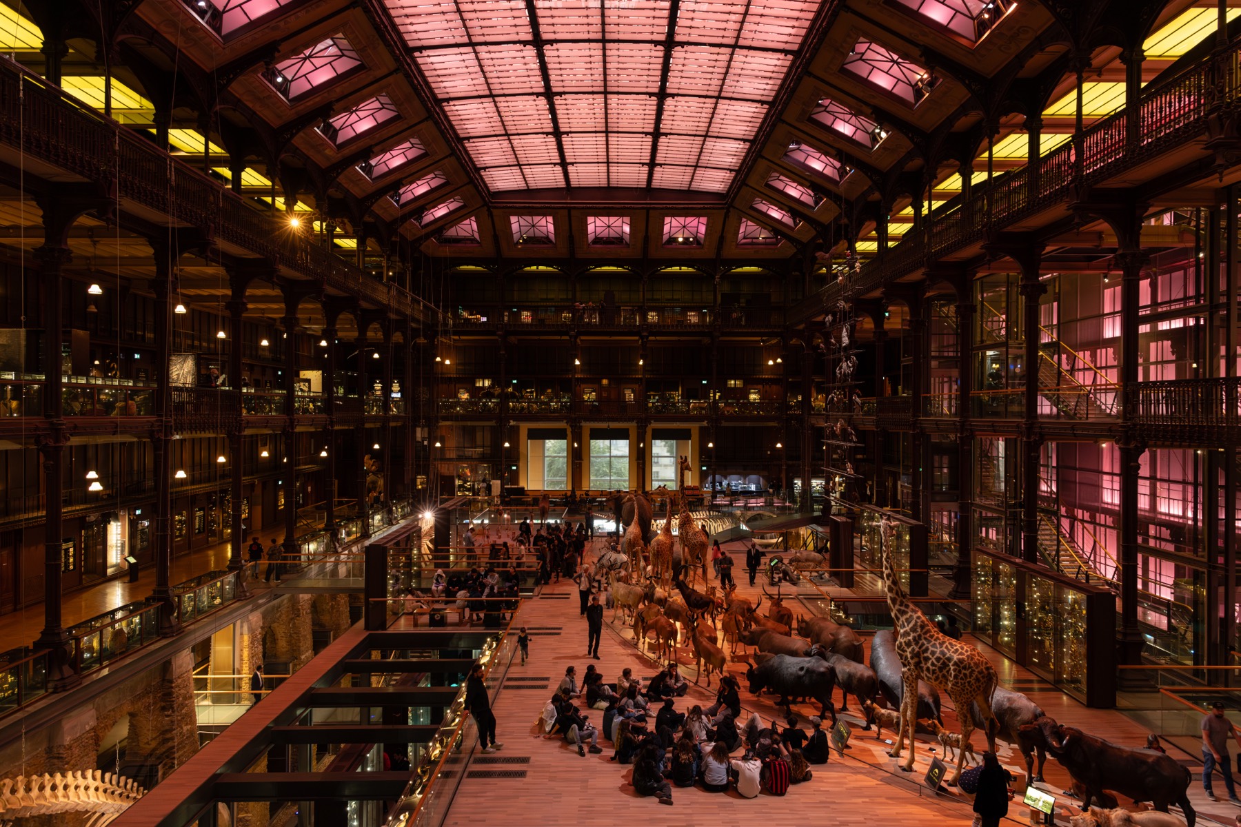 巴黎 第 4 张照片